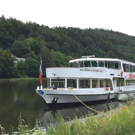 Neckarblick,Natur, Altstadt 希尔施霍恩 外观 照片