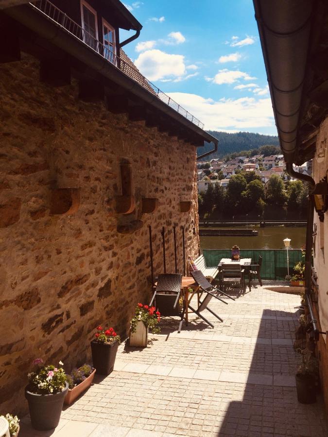 Neckarblick,Natur, Altstadt 希尔施霍恩 外观 照片