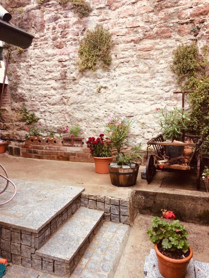 Neckarblick,Natur, Altstadt 希尔施霍恩 外观 照片