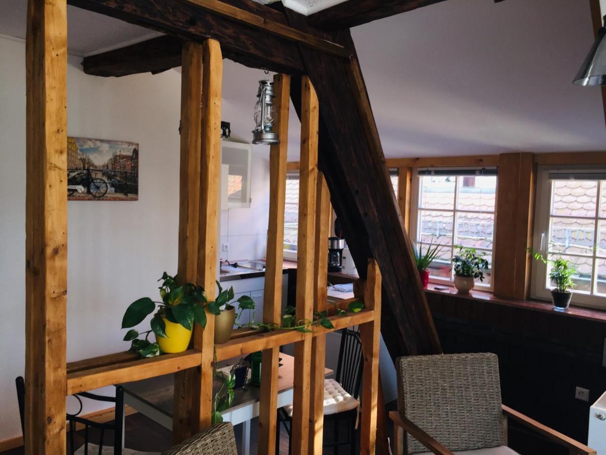 Neckarblick,Natur, Altstadt 希尔施霍恩 外观 照片