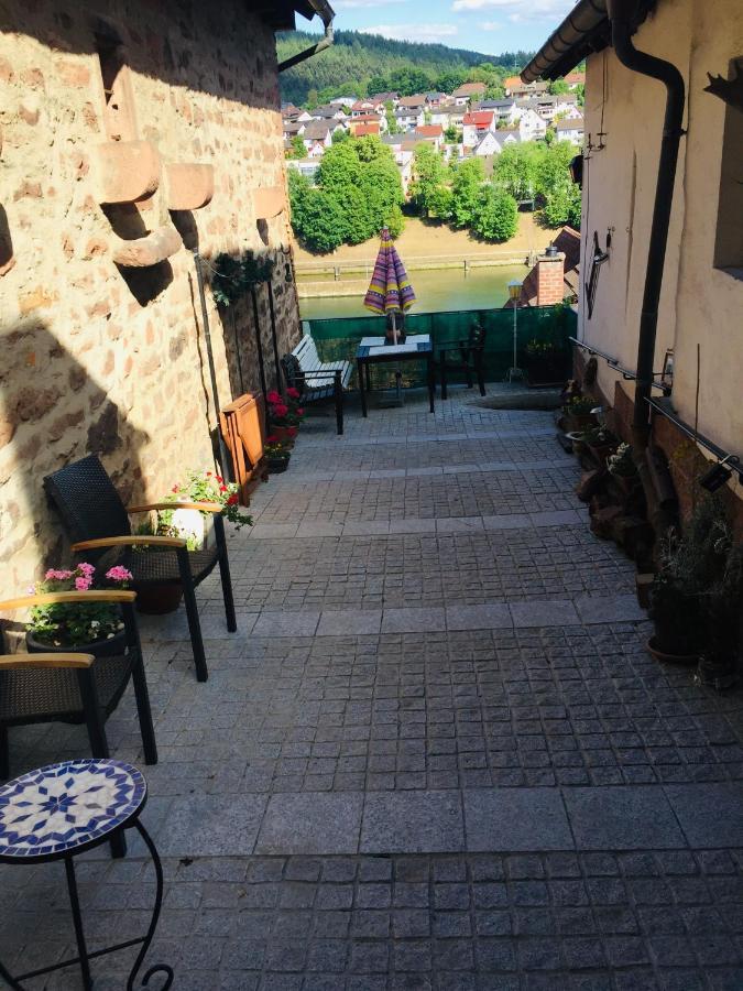 Neckarblick,Natur, Altstadt 希尔施霍恩 外观 照片