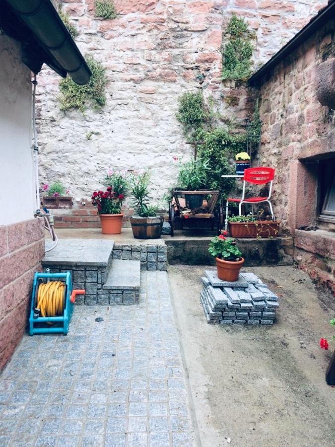 Neckarblick,Natur, Altstadt 希尔施霍恩 外观 照片