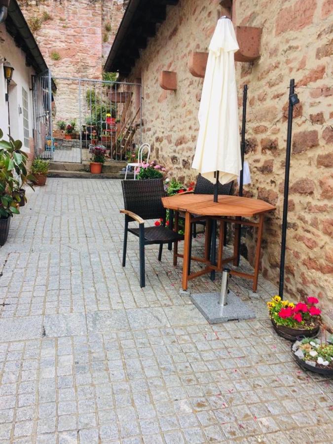 Neckarblick,Natur, Altstadt 希尔施霍恩 外观 照片