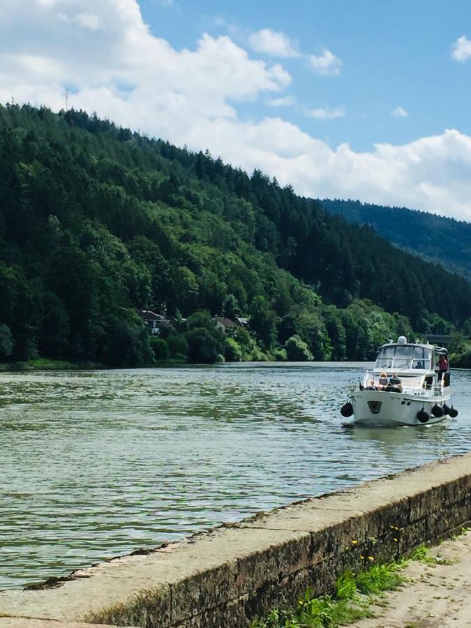 Neckarblick,Natur, Altstadt 希尔施霍恩 外观 照片