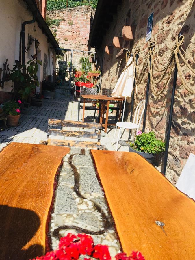 Neckarblick,Natur, Altstadt 希尔施霍恩 外观 照片