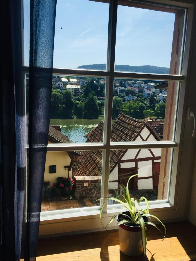 Neckarblick,Natur, Altstadt 希尔施霍恩 外观 照片