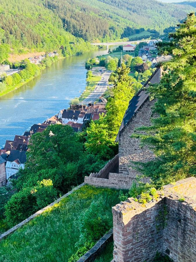 Neckarblick,Natur, Altstadt 希尔施霍恩 外观 照片