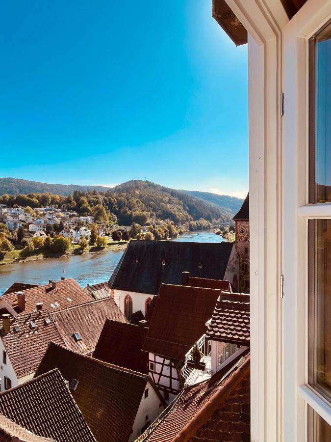 Neckarblick,Natur, Altstadt 希尔施霍恩 外观 照片