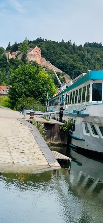 Neckarblick,Natur, Altstadt 希尔施霍恩 外观 照片