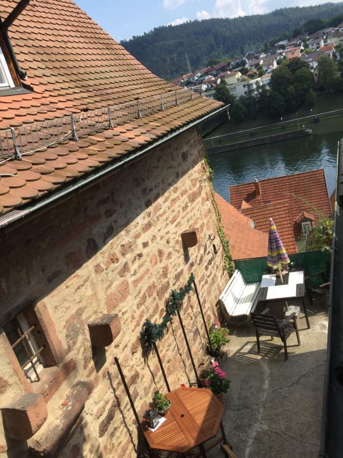 Neckarblick,Natur, Altstadt 希尔施霍恩 外观 照片