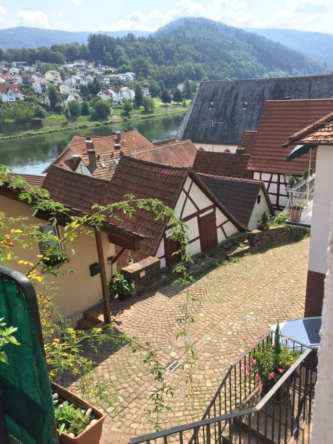 Neckarblick,Natur, Altstadt 希尔施霍恩 外观 照片