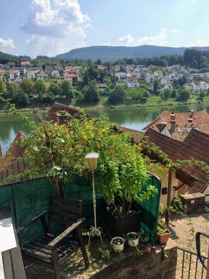 Neckarblick,Natur, Altstadt 希尔施霍恩 外观 照片