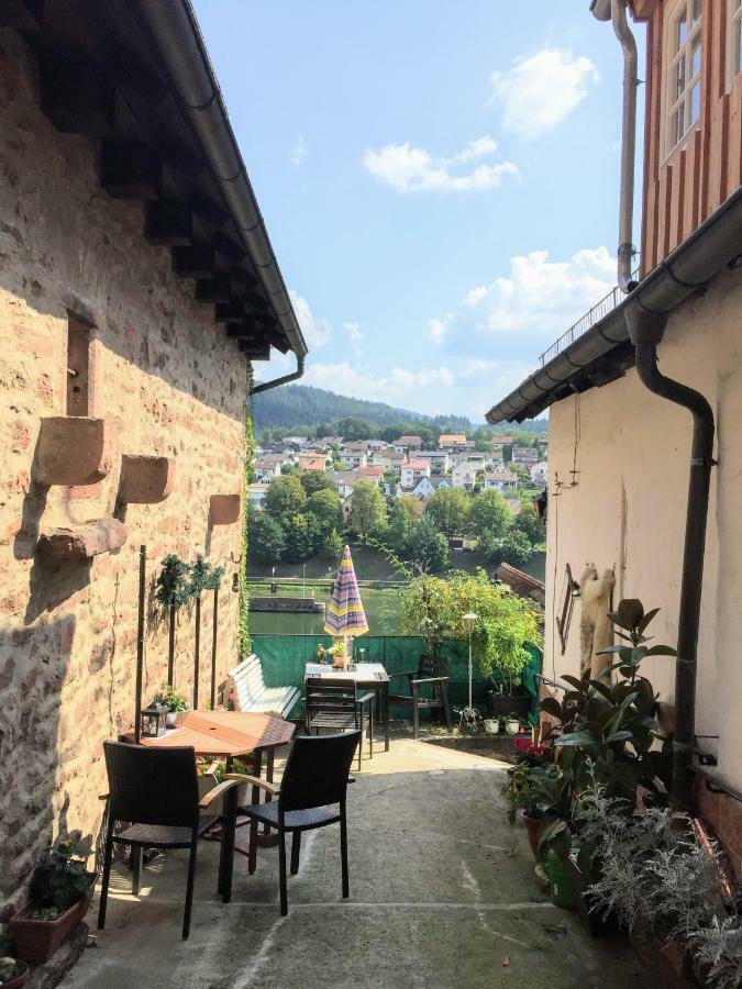 Neckarblick,Natur, Altstadt 希尔施霍恩 外观 照片