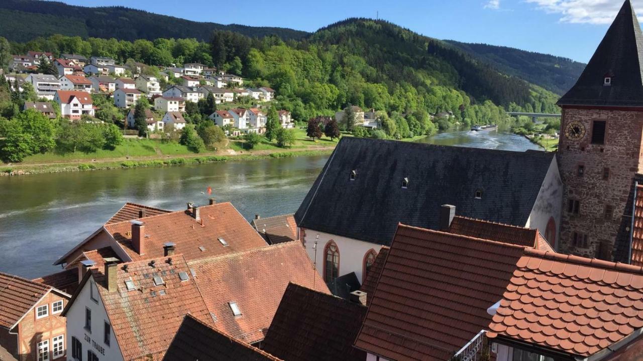 Neckarblick,Natur, Altstadt 希尔施霍恩 外观 照片