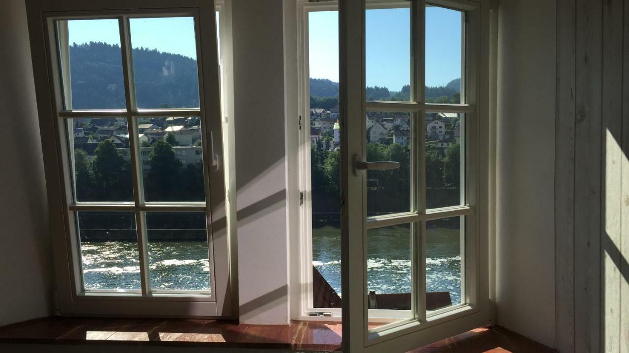 Neckarblick,Natur, Altstadt 希尔施霍恩 外观 照片